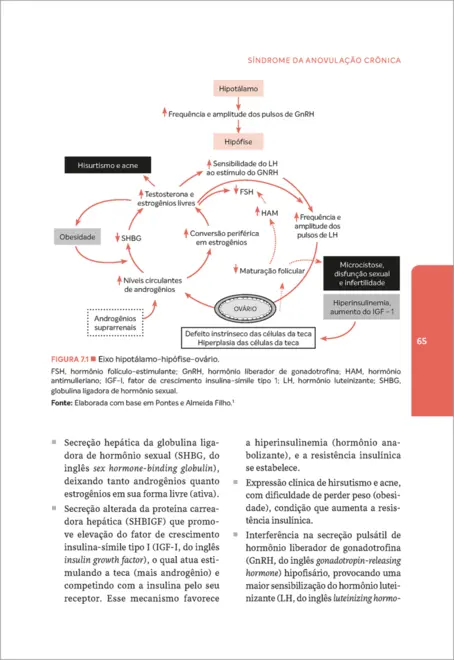 Ginecologia Ambulatorial