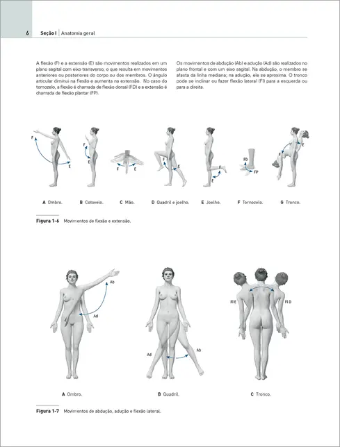 EVA Atlas de Anatomia