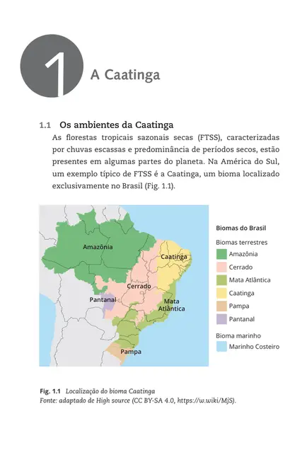 Adaptações de plantas da Caatinga