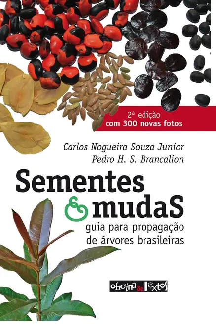 Sementes e mudas