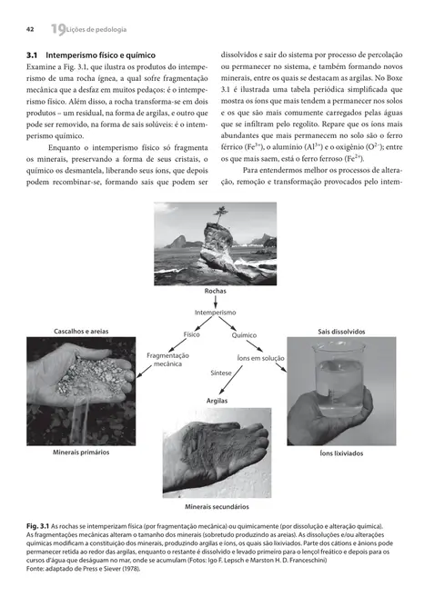 19 lições de pedologia