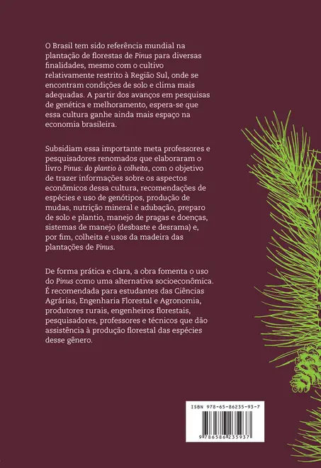 Pinus: do plantio à colheita