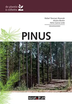 Pinus: do plantio à colheita