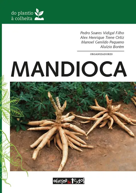 Mandioca