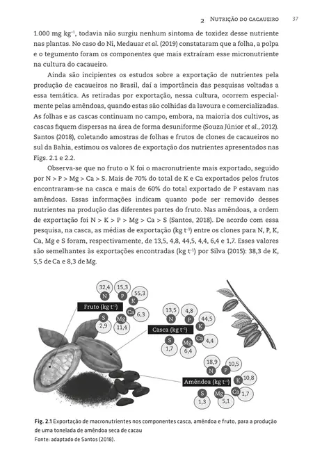 Nutrição de cultivos amazônicos