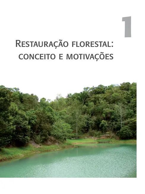 Restauração florestal