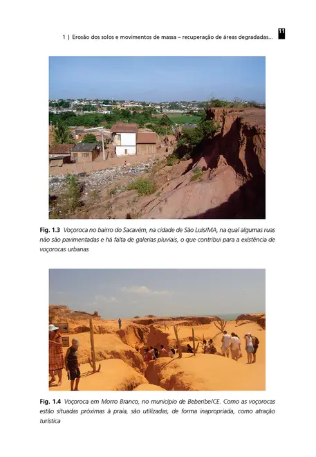 Processos erosivos e recuperação de áreas degradadas