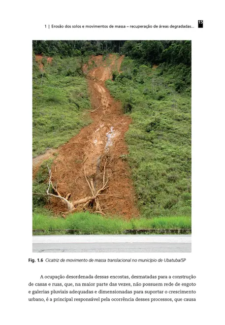 Processos erosivos e recuperação de áreas degradadas