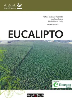 Eucalipto