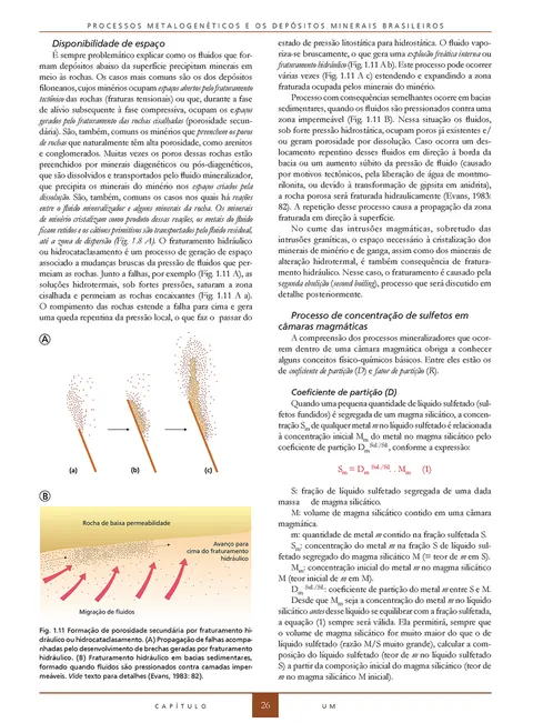 Processos metalogenéticos e os depósitos minerais brasileiros