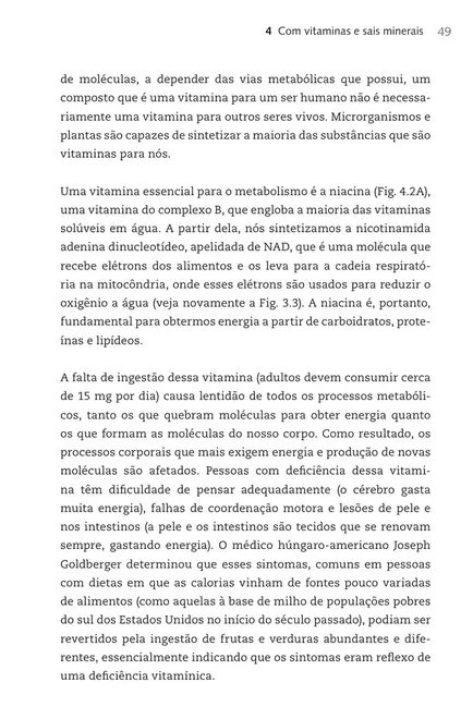 O que é metabolismo?