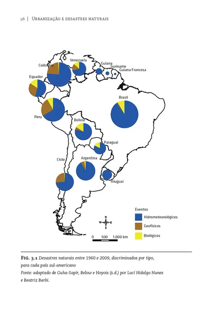 Urbanização e desastres naturais