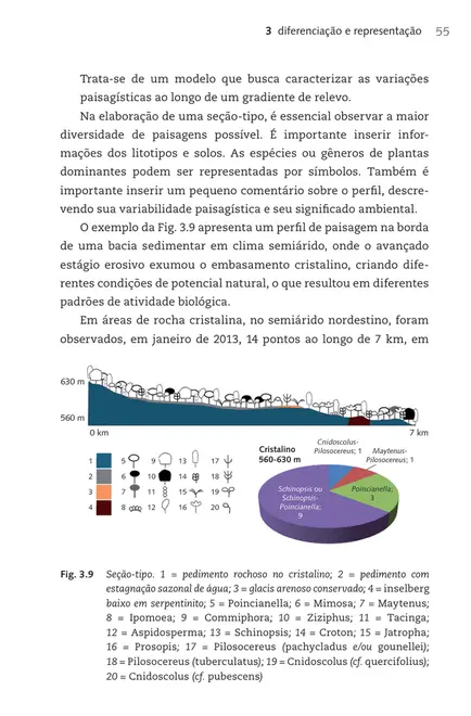 Cartografia de paisagens