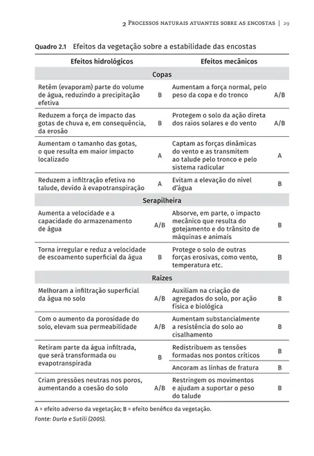 Encostas: evolução, equilíbrio e condições de ocupação
