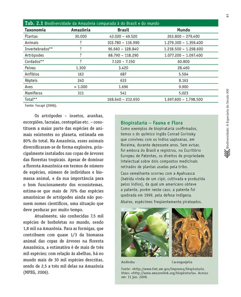 Um futuro para a Amazônia