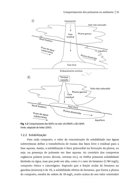 Transporte de poluentes nos solos: Com exercícios resolvidos