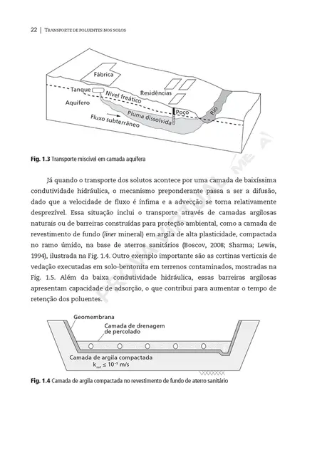 Transporte de poluentes nos solos: Com exercícios resolvidos