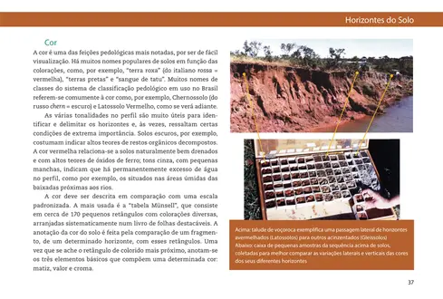 Formação e conservação dos solos