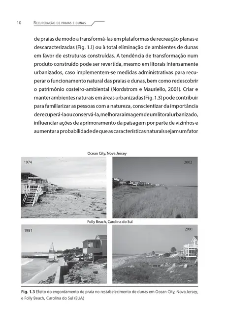 Recuperação de praias e dunas