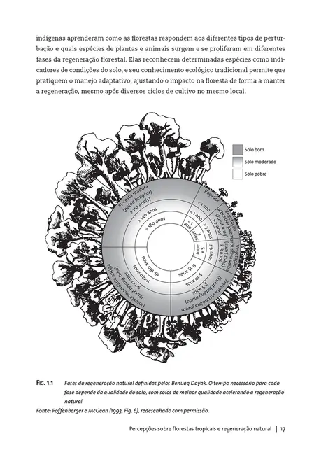 Renascimento de florestas