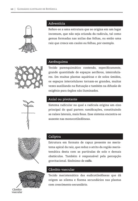 Glossário ilustrado de botânica