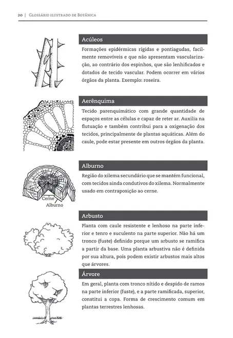Glossário ilustrado de botânica