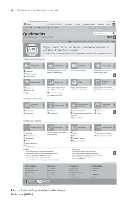 Queimadas e incêndios florestais