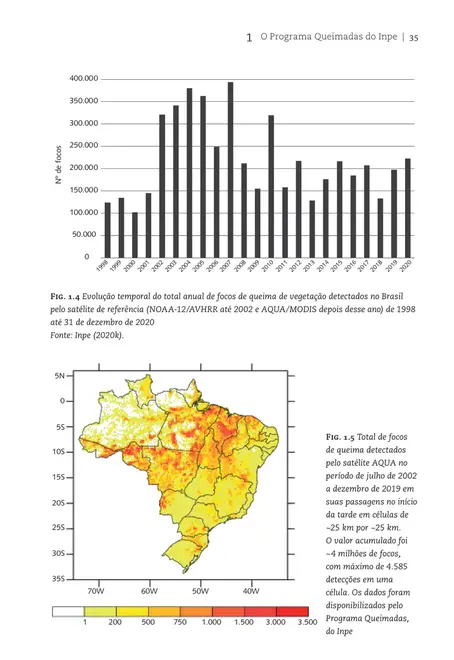 Queimadas e incêndios florestais