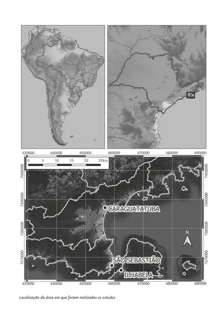 Debris flow na Serra do Mar