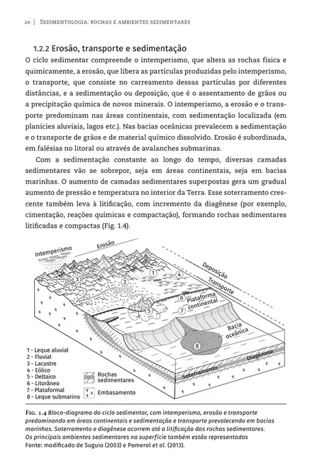 Sedimentologia: rochas e ambientes sedimentares