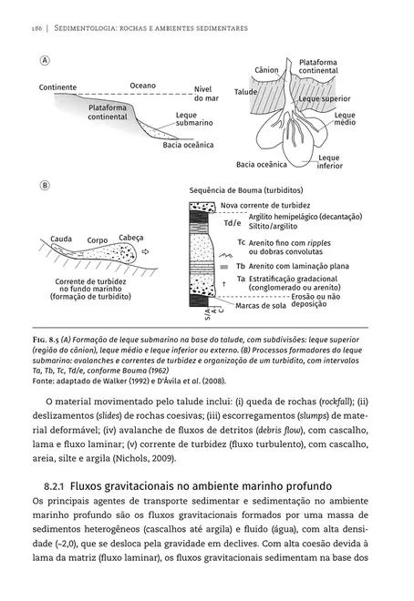 Sedimentologia: rochas e ambientes sedimentares