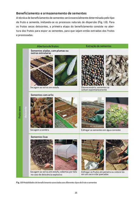 Sementes e mudas - Vol. 2: Guia para propagação de árvores brasileiras