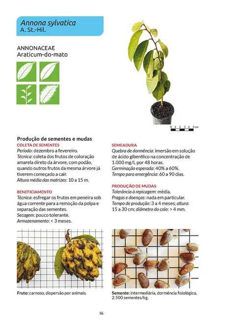 Sementes e mudas - Vol. 2: Guia para propagação de árvores brasileiras