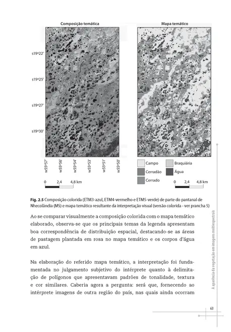 Sensoriamento remoto da vegetação