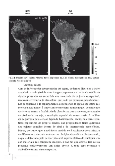 Sensoriamento remoto da vegetação