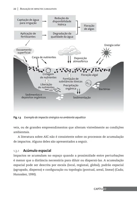 Avaliação de impactos cumulativos