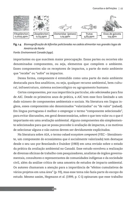 Avaliação de impactos cumulativos