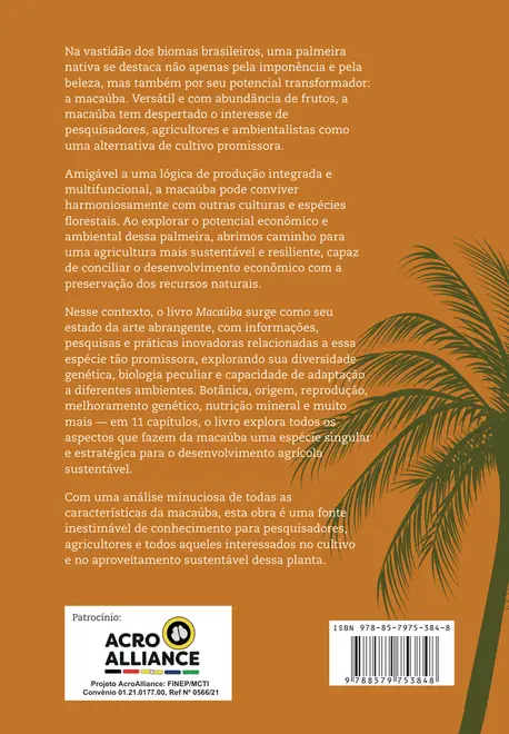 Macaúba: do plantio à colheita