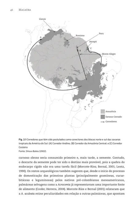 Macaúba: do plantio à colheita