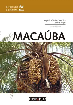 Macaúba: do plantio à colheita