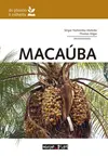 Macaúba: do plantio à colheita