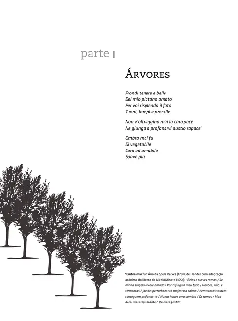 Quantificação de recursos florestais