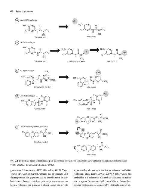 Plantas daninhas - vol.2 - herbicidas