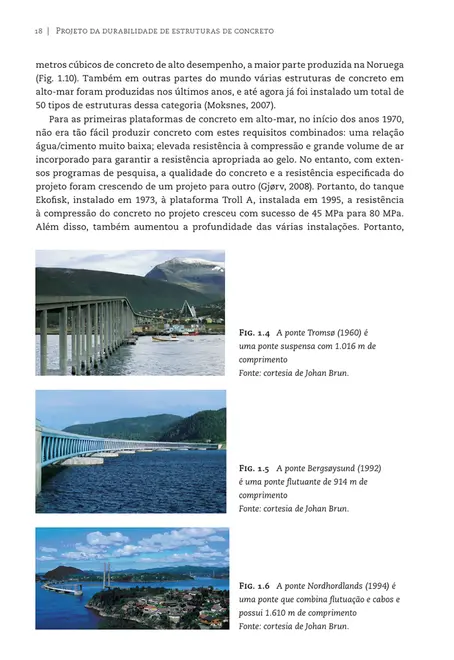 Projeto da durabilidade de estruturas de concreto em ambientes de severa agressividade