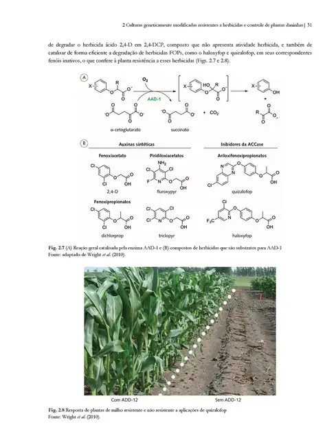 Plantas daninhas - Vol.3 - avanços tecnológicos