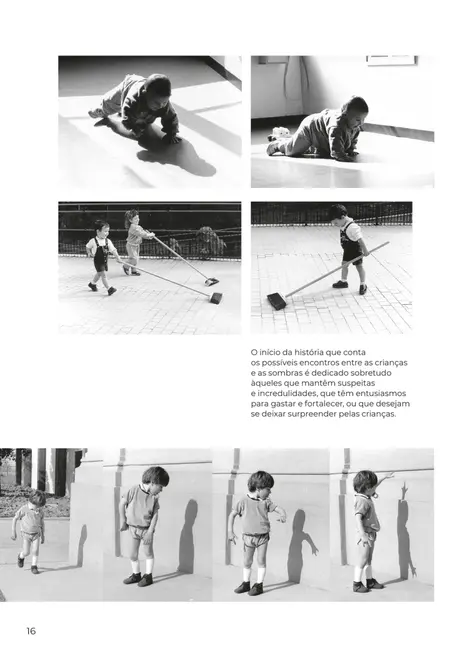 Tudo Tem Sombra, Menos as Formigas