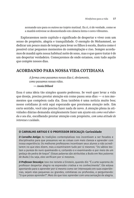 Mindfulness para a Vida