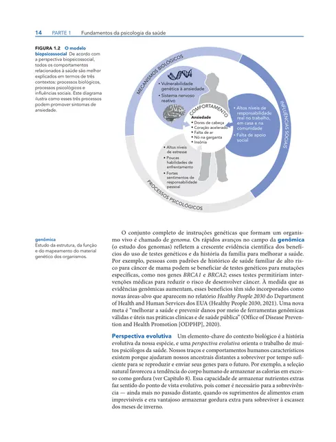 Psicologia da Saúde 7ed.