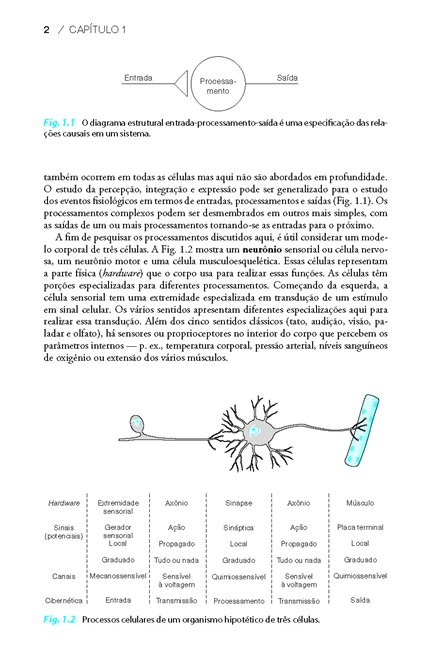 Fisiologia Celular