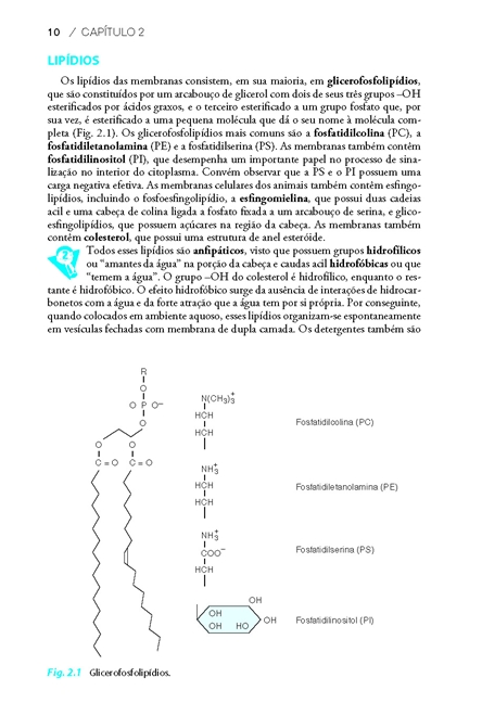 Fisiologia Celular